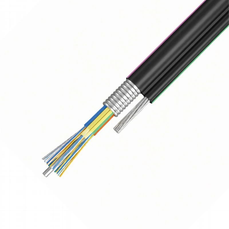 Figure-8 Cable With Aluminum Tape Outdoor Fiber Optic Cable (GYTC8A)